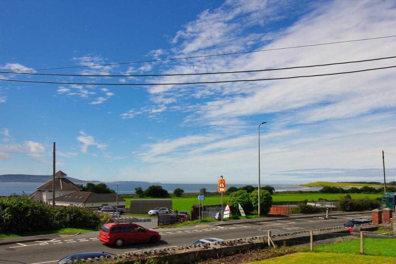 Blue Rose * Burry Port